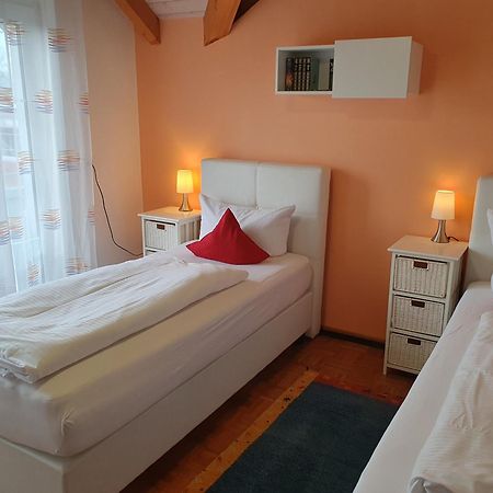 Armonia Altach, 2-6 P, 2 Schlafzimmer, Kueche, Parkplatz, Balkon, Wifi, Garten, Stellplatz Fuer Ski Dış mekan fotoğraf