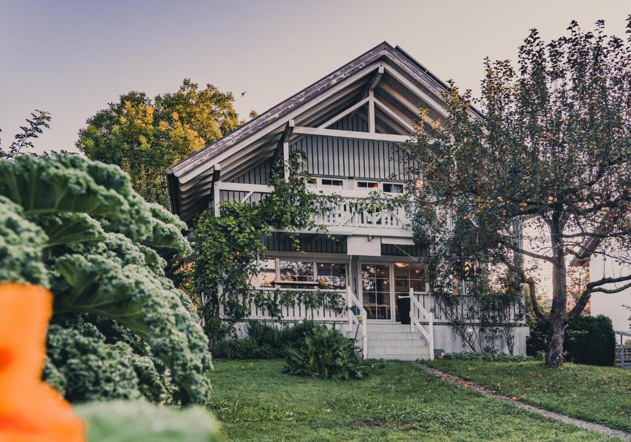 Armonia Altach, 2-6 P, 2 Schlafzimmer, Kueche, Parkplatz, Balkon, Wifi, Garten, Stellplatz Fuer Ski Dış mekan fotoğraf