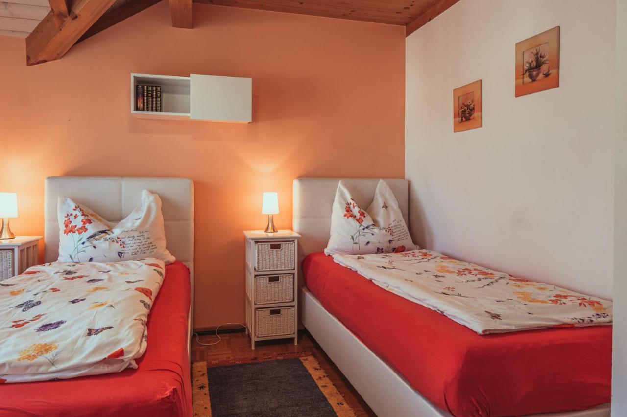 Armonia Altach, 2-6 P, 2 Schlafzimmer, Kueche, Parkplatz, Balkon, Wifi, Garten, Stellplatz Fuer Ski Dış mekan fotoğraf