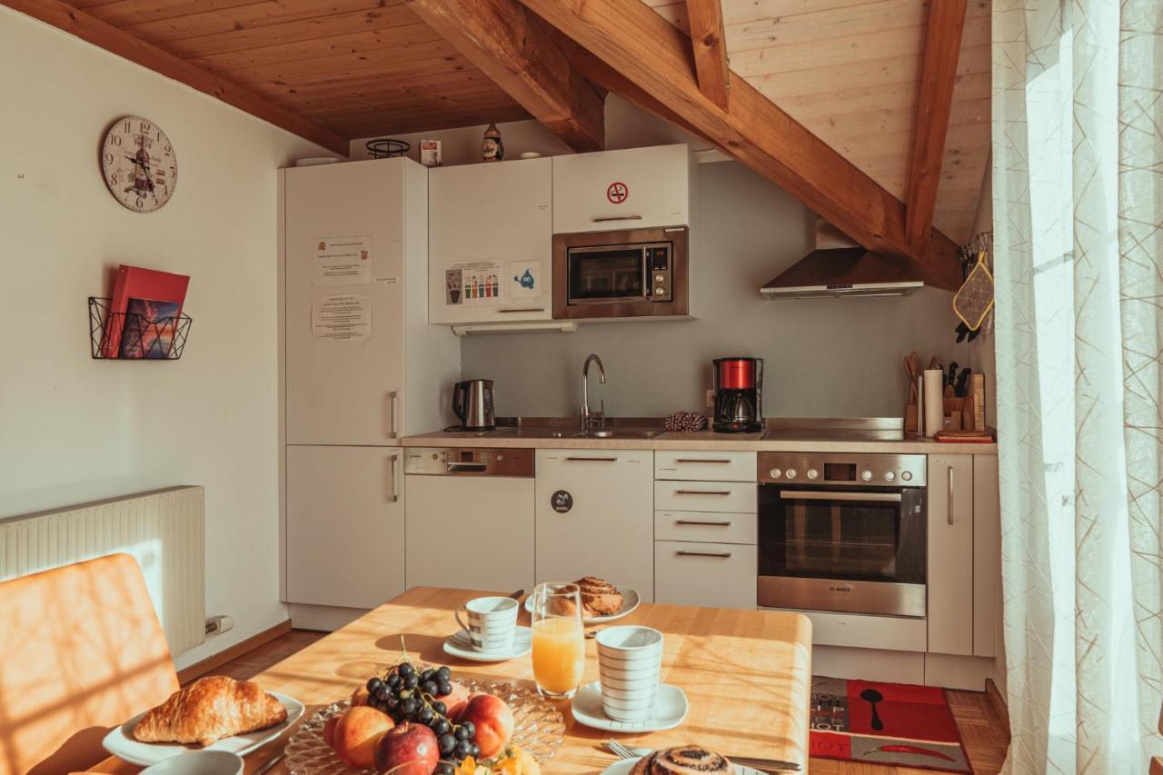 Armonia Altach, 2-6 P, 2 Schlafzimmer, Kueche, Parkplatz, Balkon, Wifi, Garten, Stellplatz Fuer Ski Dış mekan fotoğraf